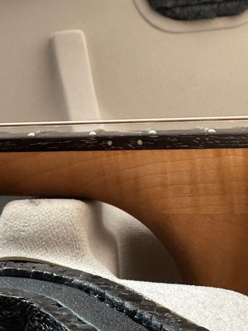 【美品】Seagull Artist Cameo CW Deluxe QⅡ