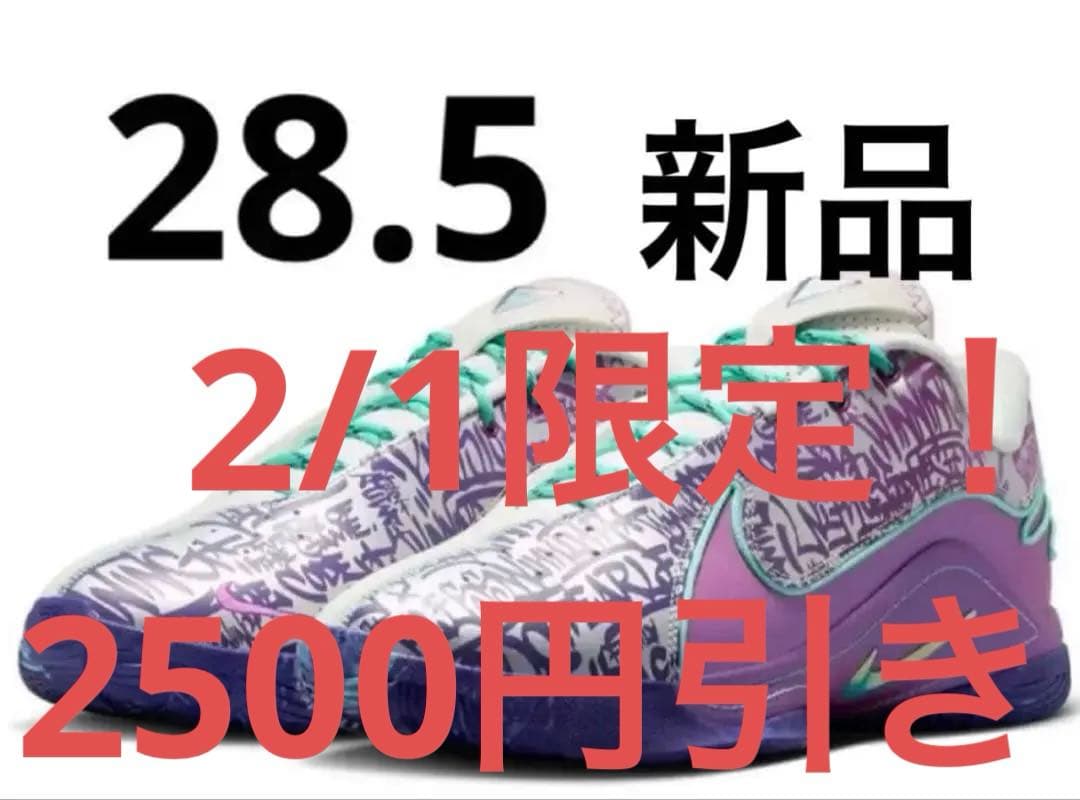 レブロン22 NIKE ep