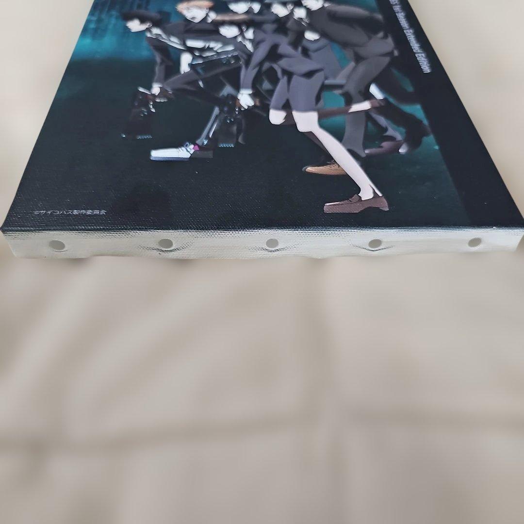 PSYCHO-PASS サイコパス 新編集版 メインビジュアル キャンバスボード