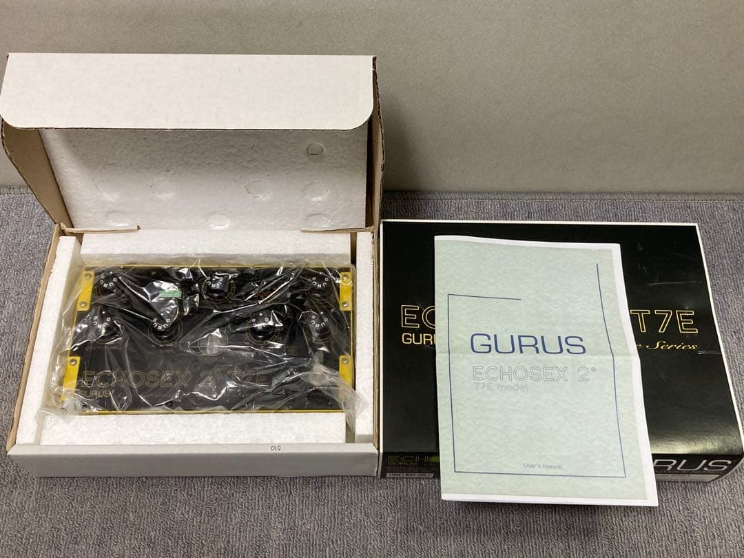 Gurus Echosex 2° T7E #010 Binson Echorec