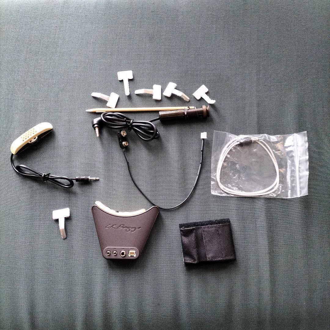 L,R Baggs Anthen　ギター