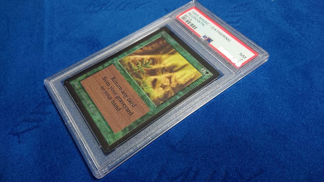 【PSA7 NM】MTG ベータ（β） 英語 新たな芽吹き 鑑定品