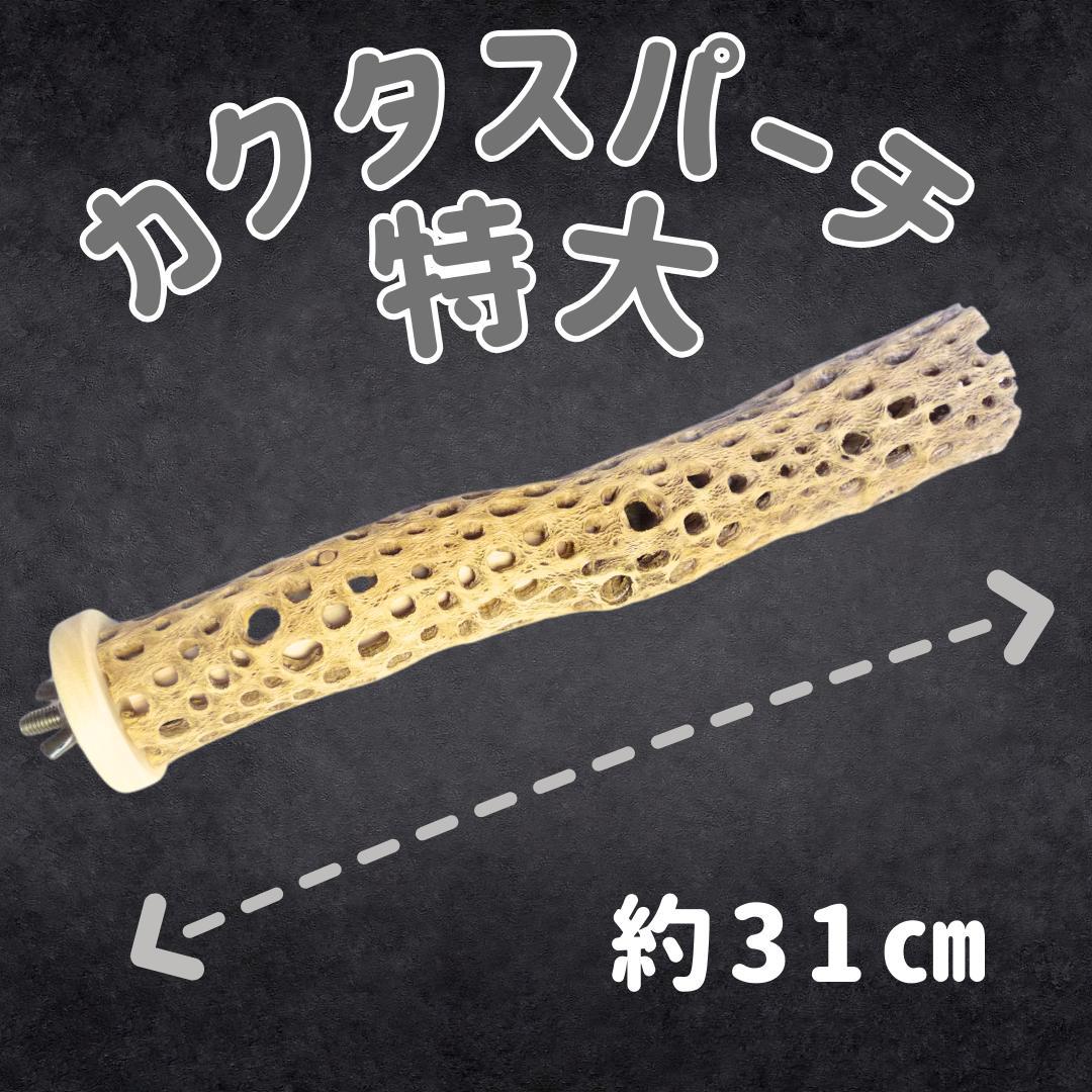 鳥用品　止まり木　カクタス　スケルトン　パーチ　特大No.217