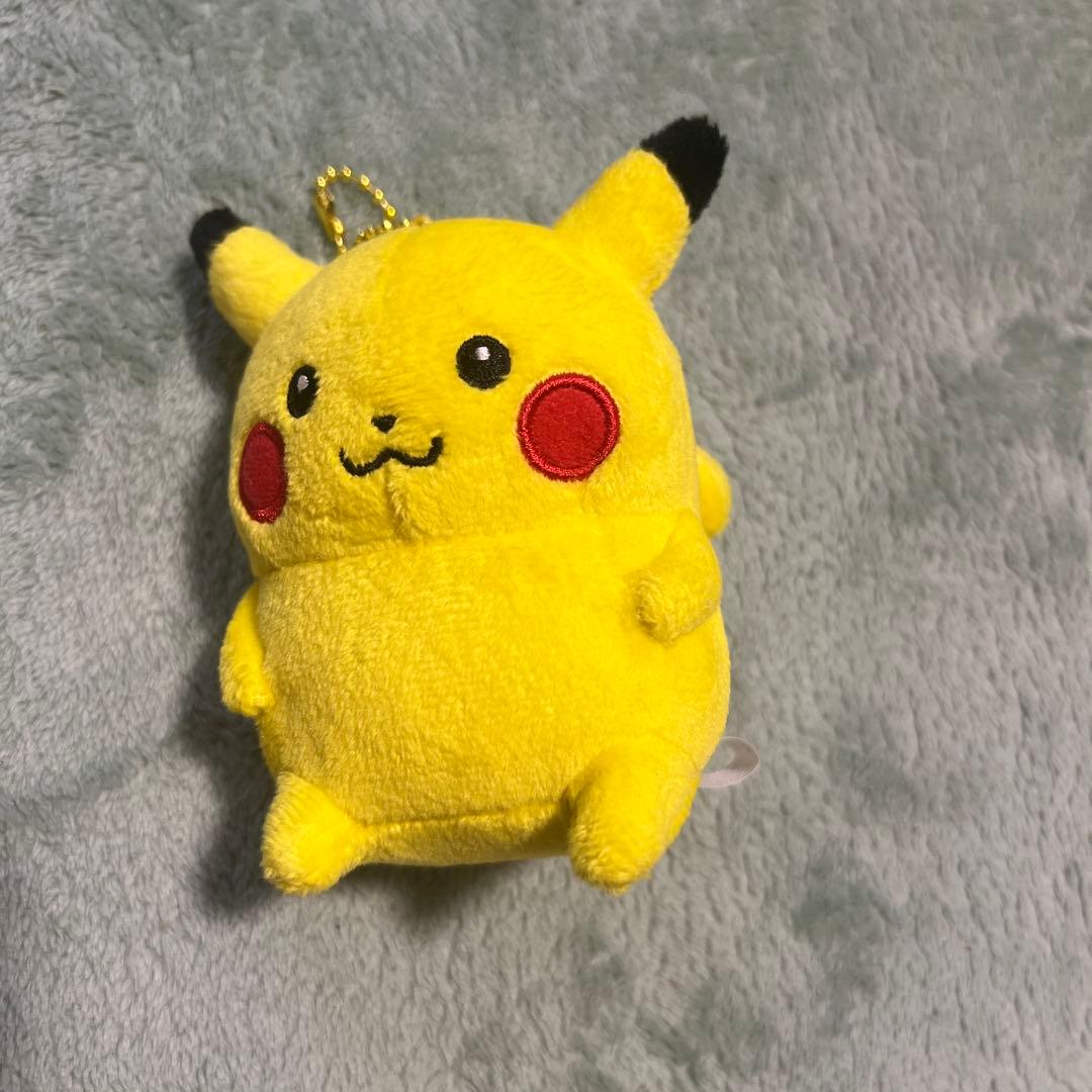 24じかんポケモンchu ナガノ ピカチュウ
