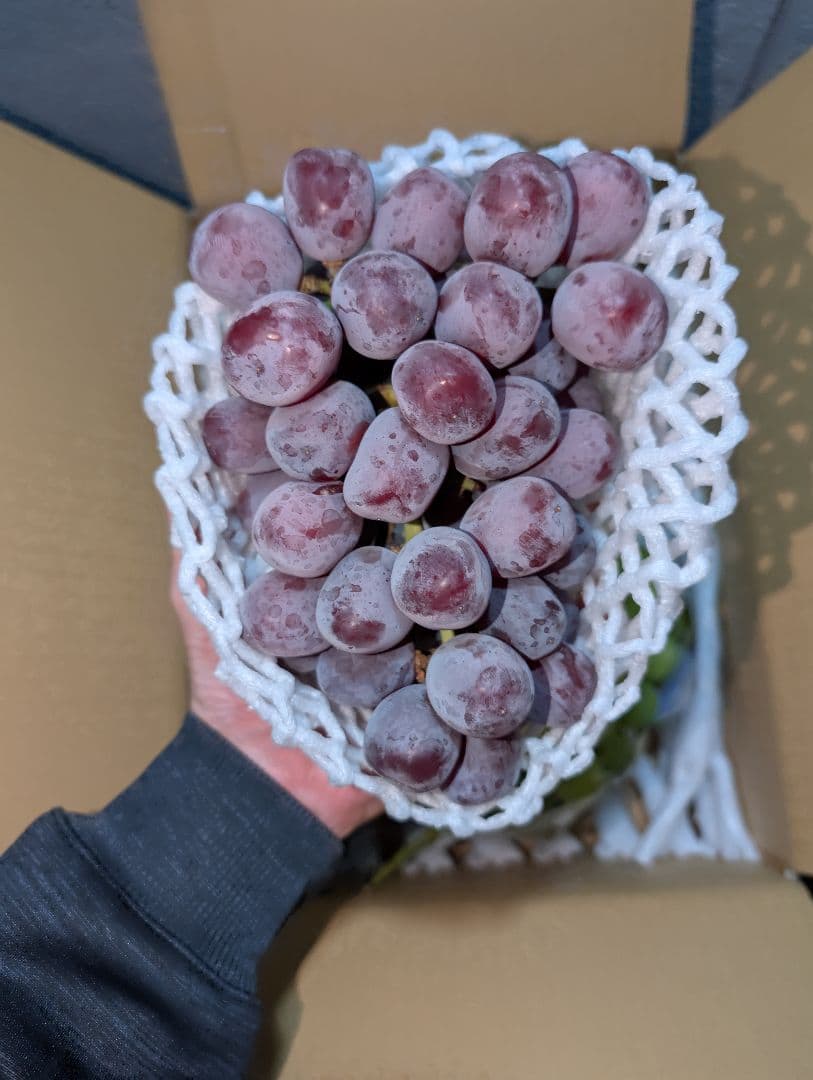 山梨県産ぶどう　美和姫　共選シャイン　4房入り箱込み約2.7kg