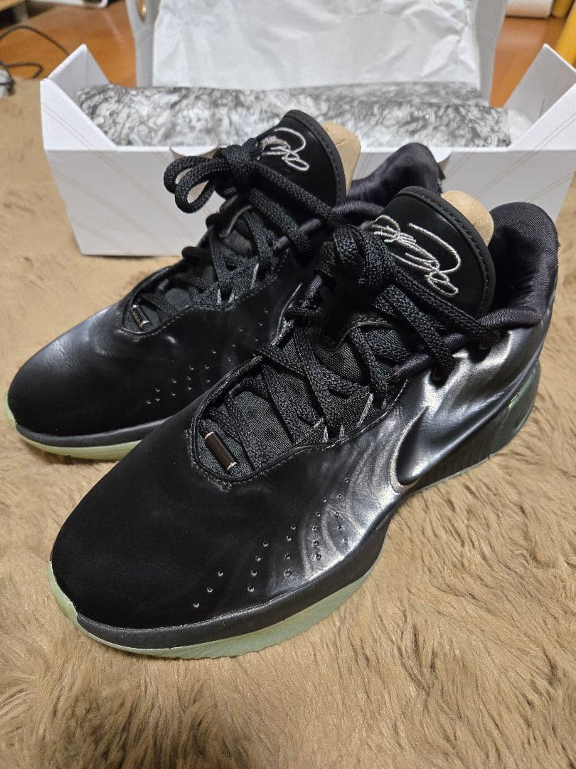 NIKE　レブロン21 EP Tahitian 27.0 LEBRON