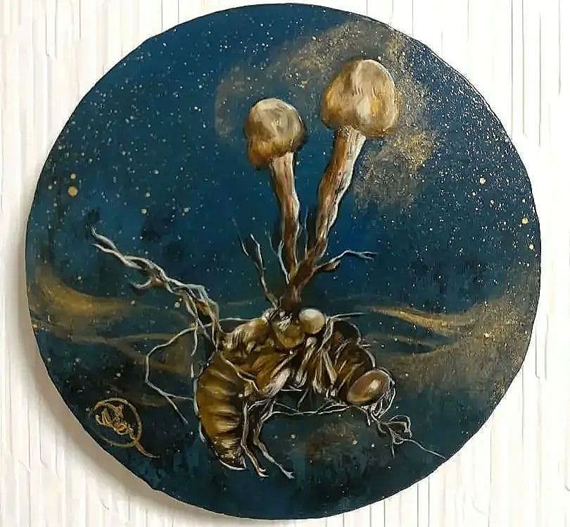 冬虫夏草の油絵【オオセミタケ】1点物の絵画◆作者サイン入り/円型キャンバス