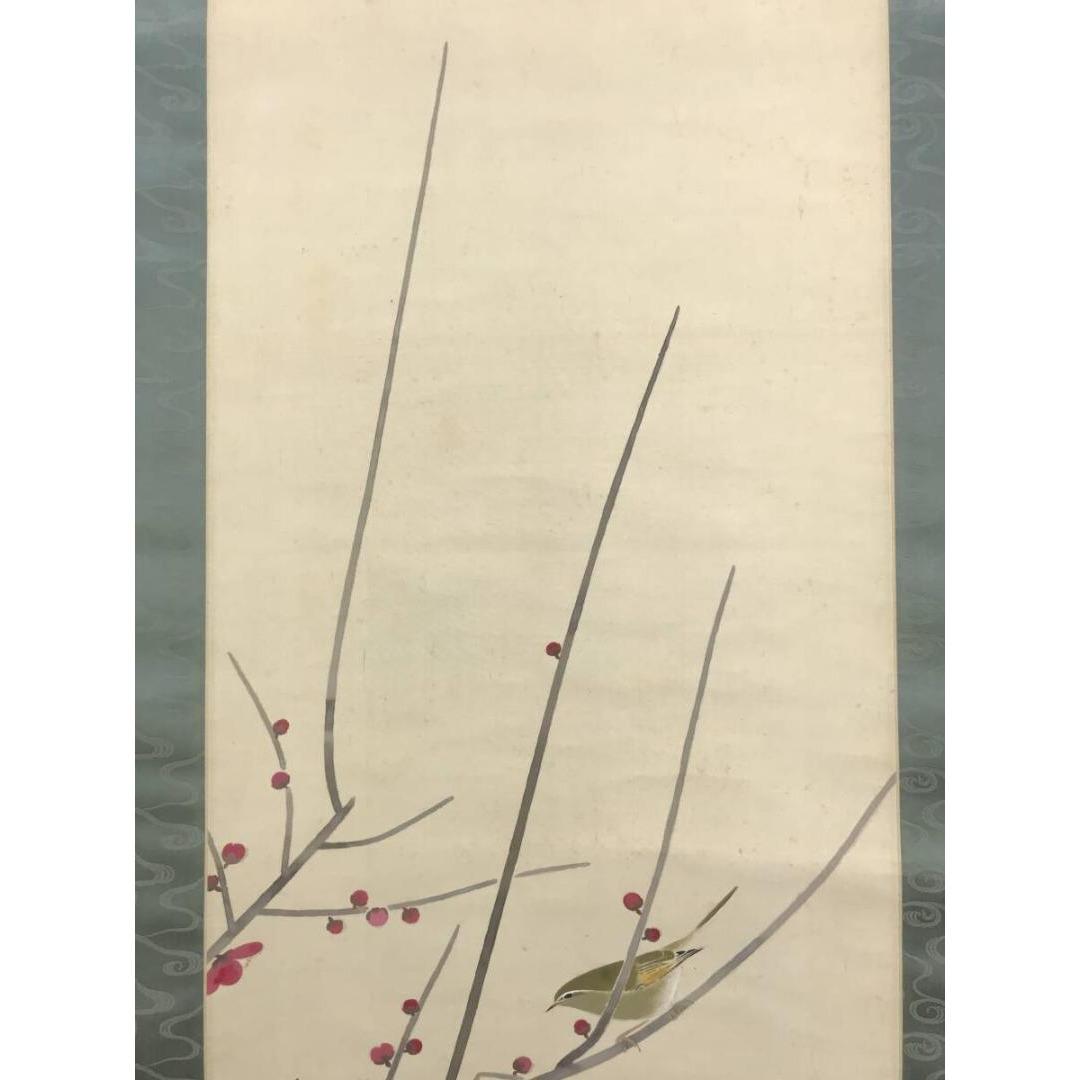 真作/黒光茂樹/紅梅鴬図/ウグイス/掛軸/名家伝来/AK-401