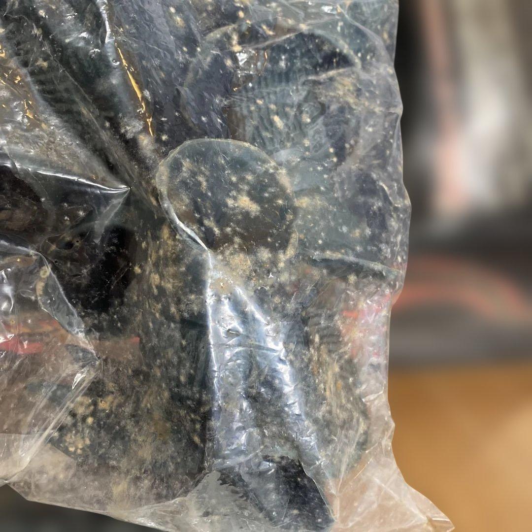 ⑬ゴジラ 2000年 ミレニアム 1/144☆原型製作　茨木彰