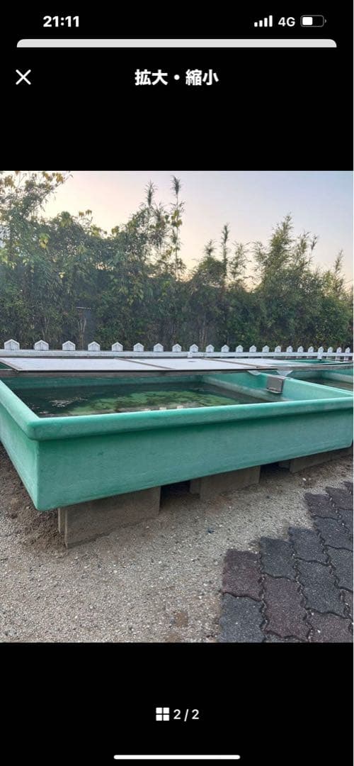 大型緑色水槽・池