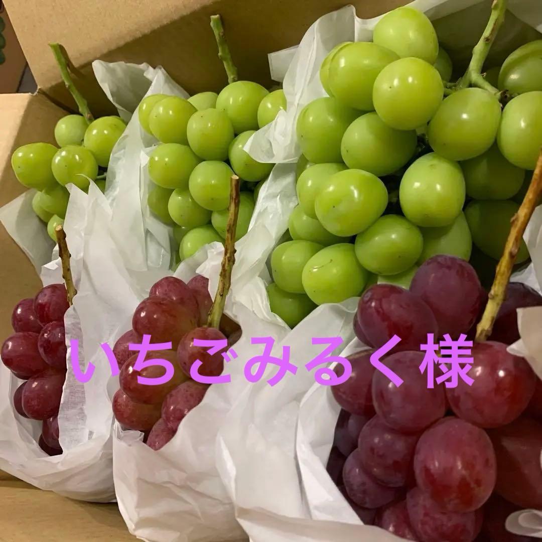 信州　大房シャインマスカット＆希少クイーンルージュ®︎ （3キロ）
