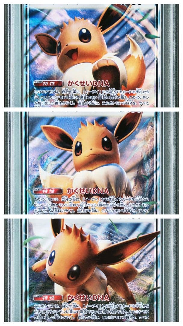 ポケモンカード　イーブイGX　プロモ