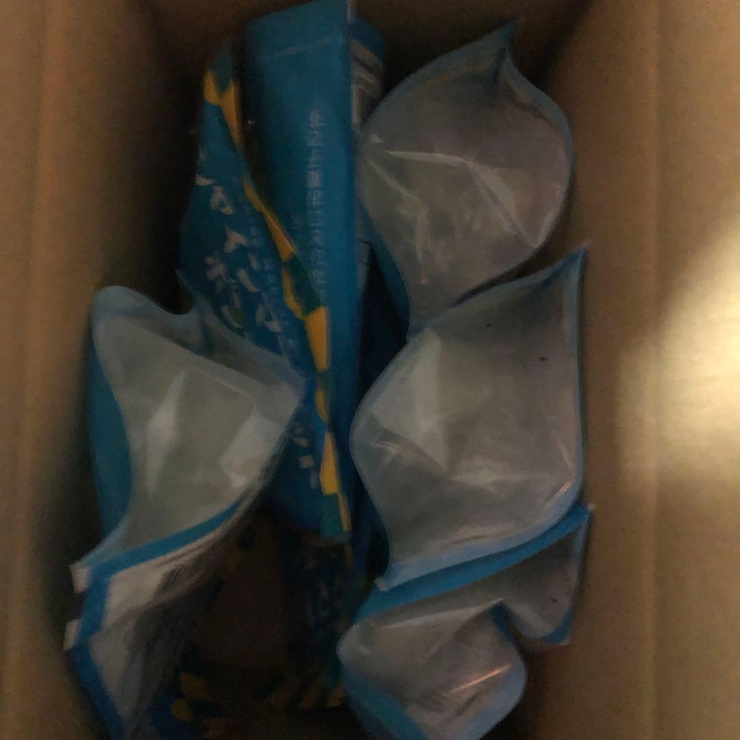 【カートン.6袋入】シャインボンボンマスカット