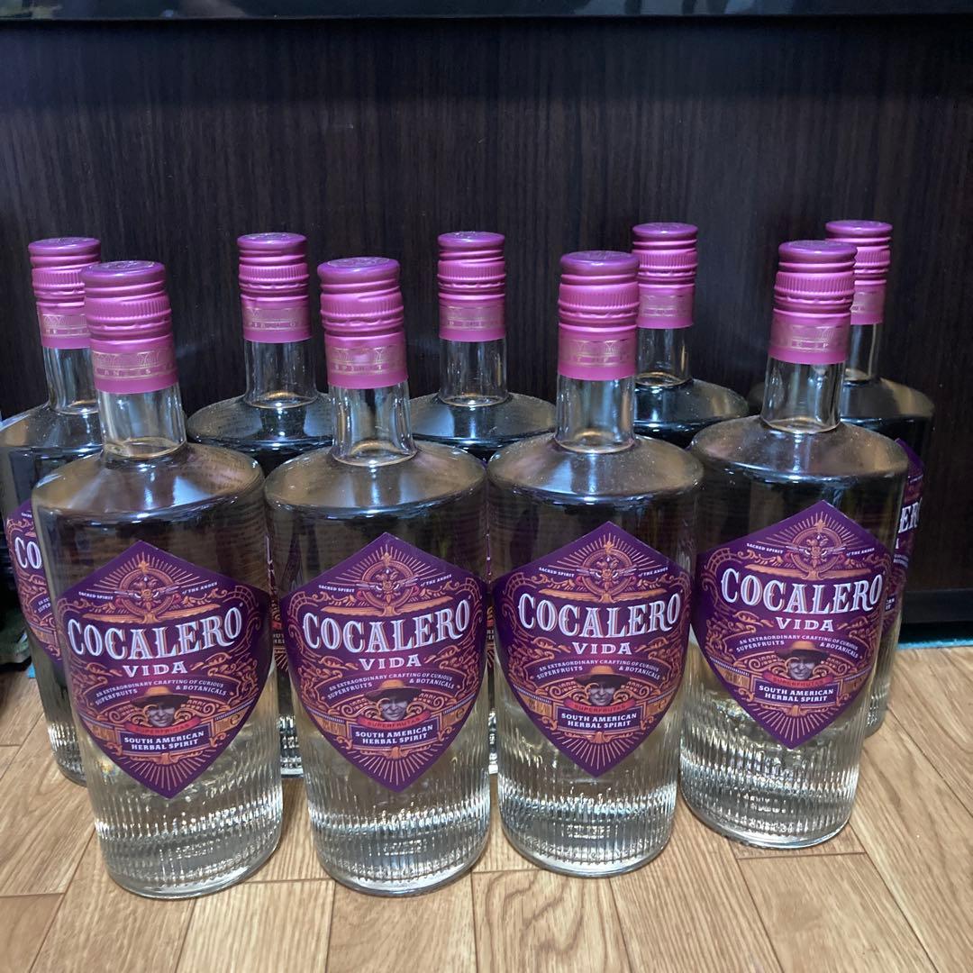 龍*姫様 梱包無し発送　コカレロ　ヴィーダ　9本セット