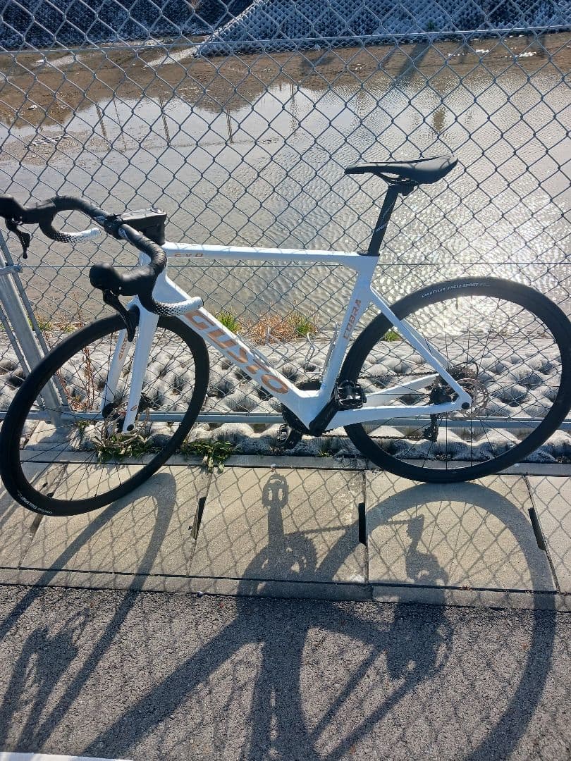 GUSTO COBRA EVO ELITE☆状態良好☆