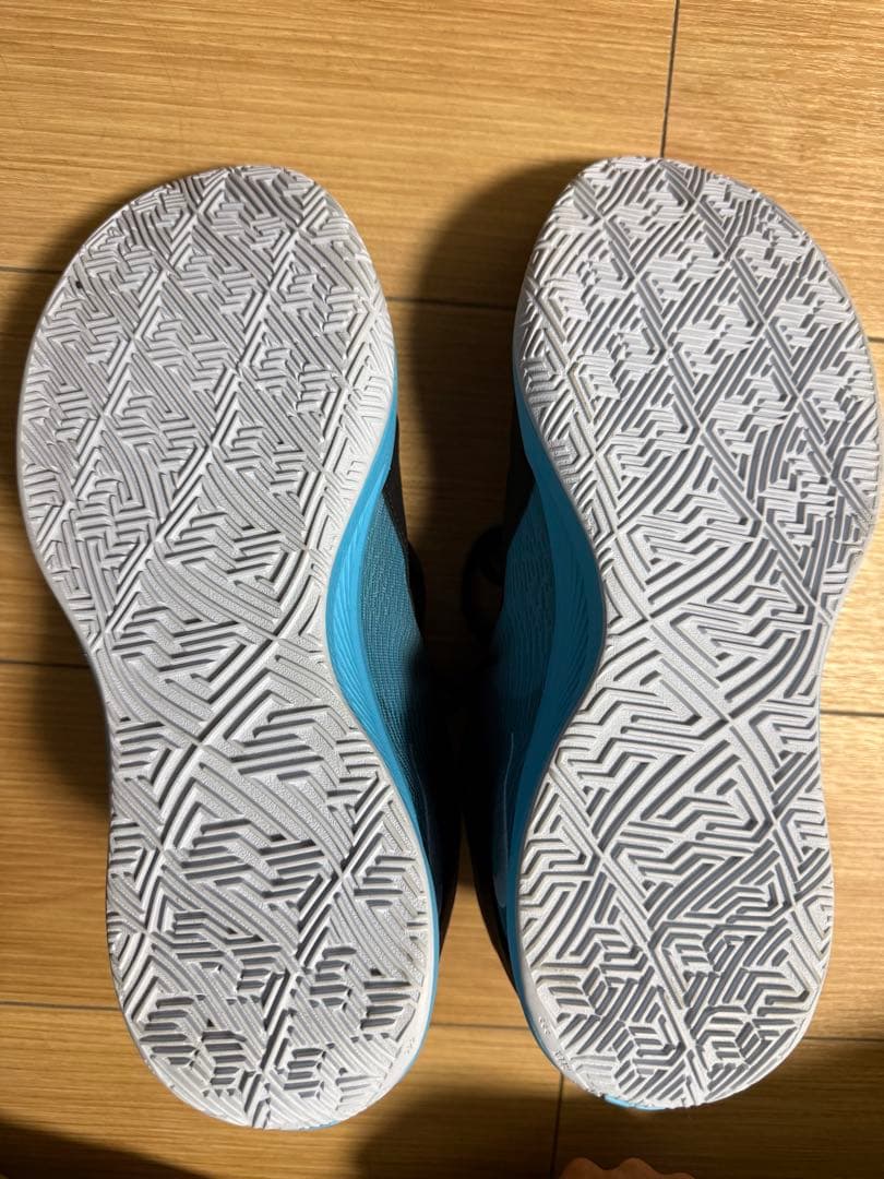 Nike Giannis freak 6 ナイキ フリーク6