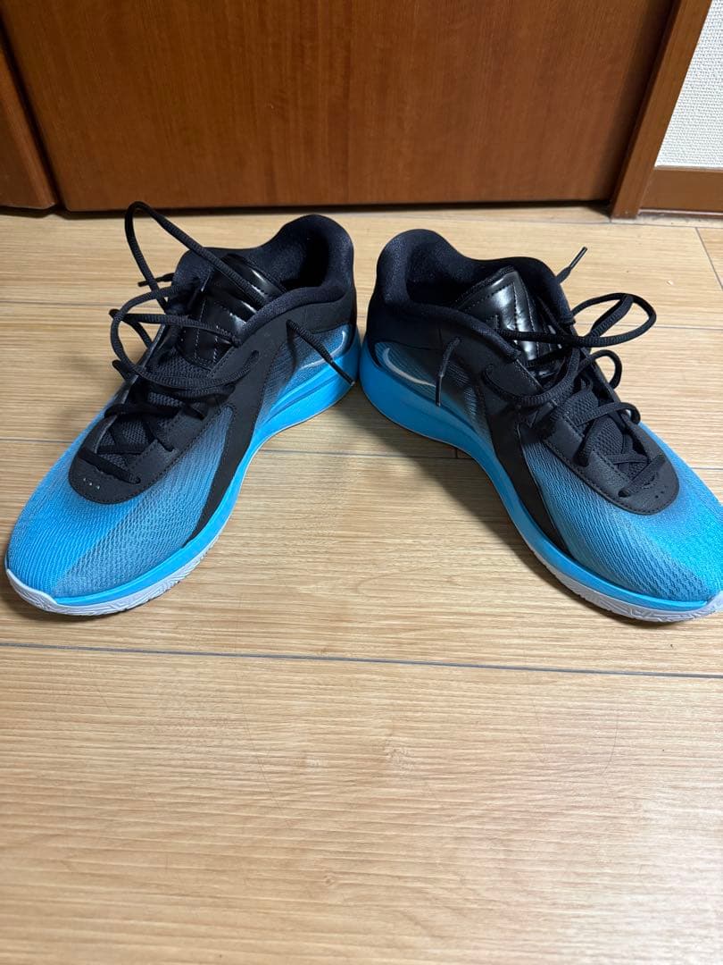 Nike Giannis freak 6 ナイキ フリーク6