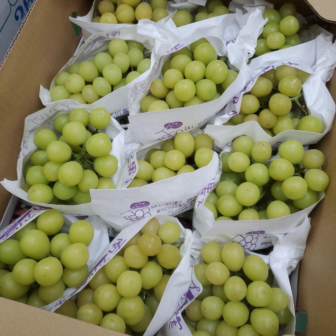 8️⃣ 山梨県産 シャインマスカット １２房入り 箱込み5.4キロ