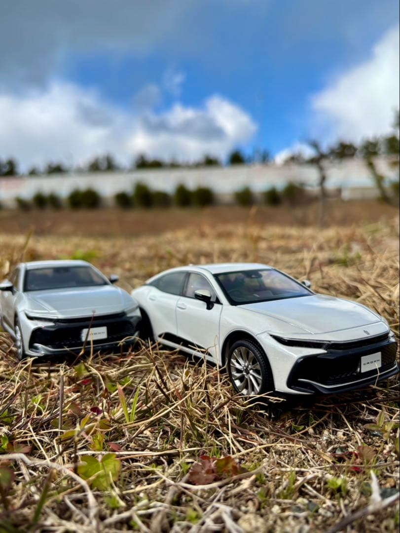 非売品　クラウン　カラーサンプル　2台セット