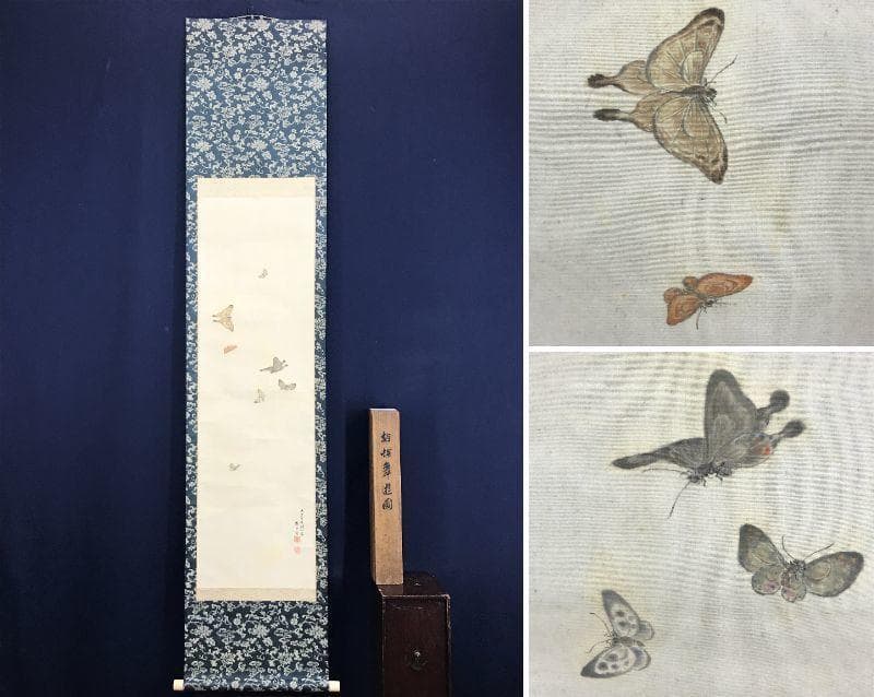 真作/田中梧堂/胡蝶舞遊図/蝶図/花鳥図/掛軸/名家伝来/AD-954