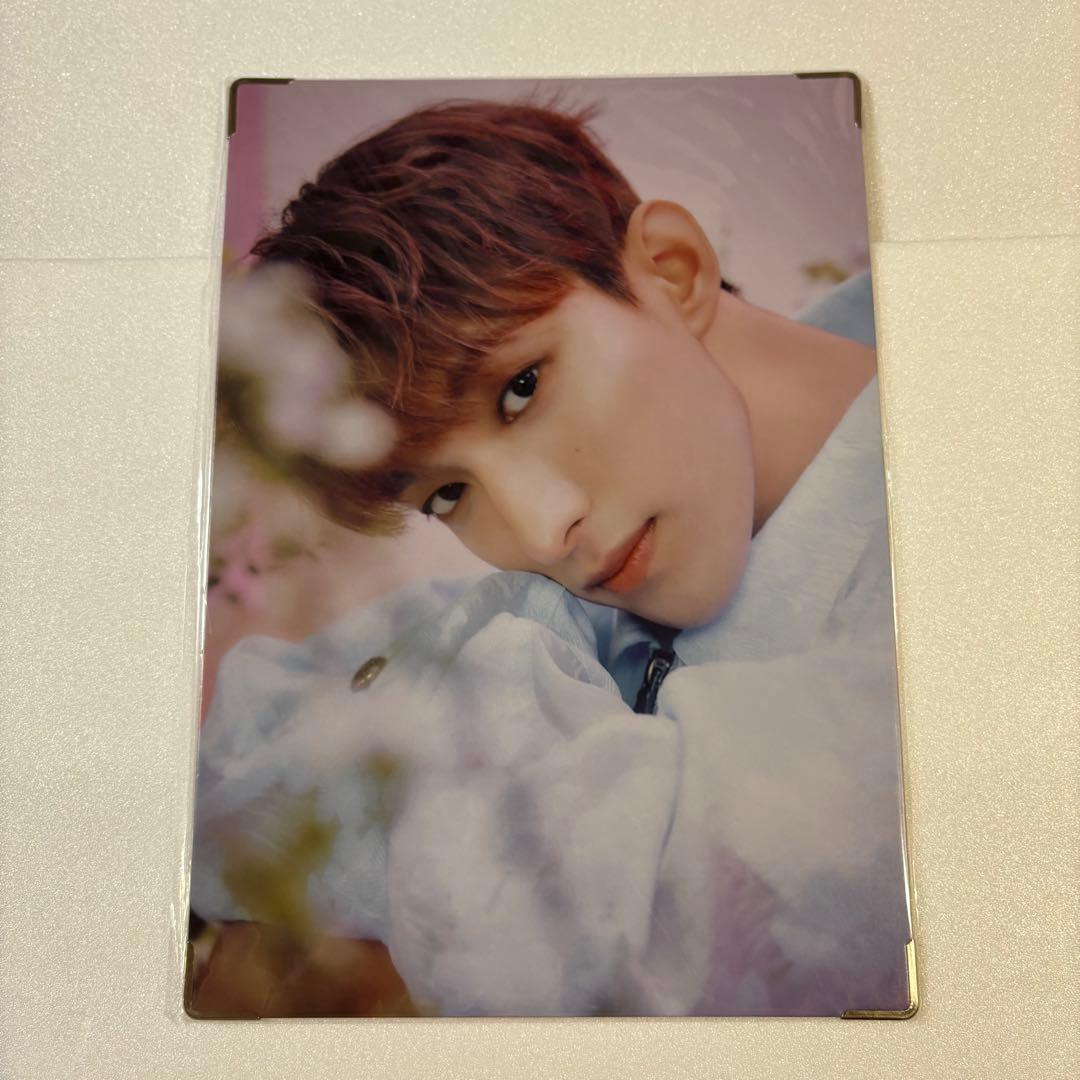 ドギョム DK always yours プレミアムフォト SEVENTEEN