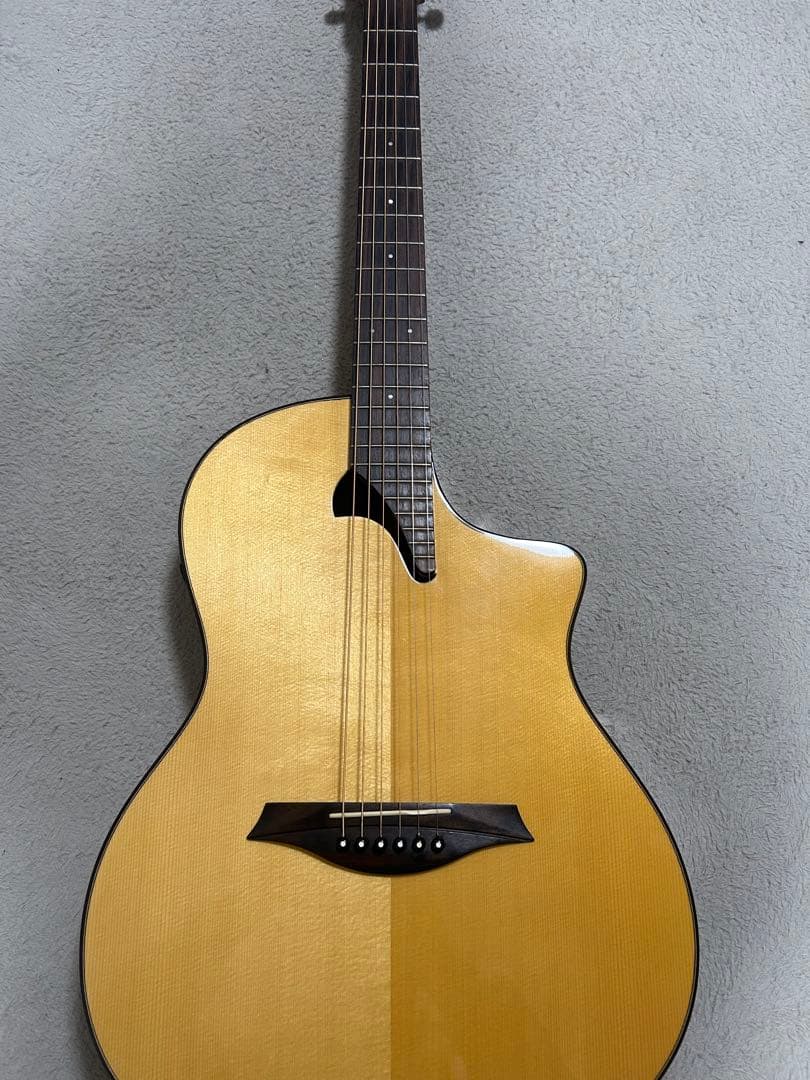 ギター Mayson PS-300