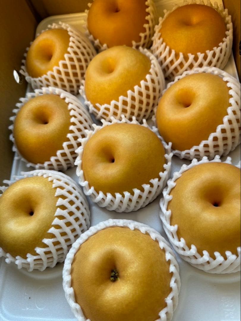 梨　新高梨　10玉　　07