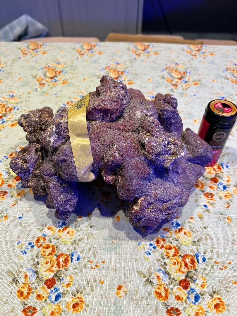 ライブロック新品未使用　休眠バクテリア付き　ドーム型　横幅 25cm、4kg