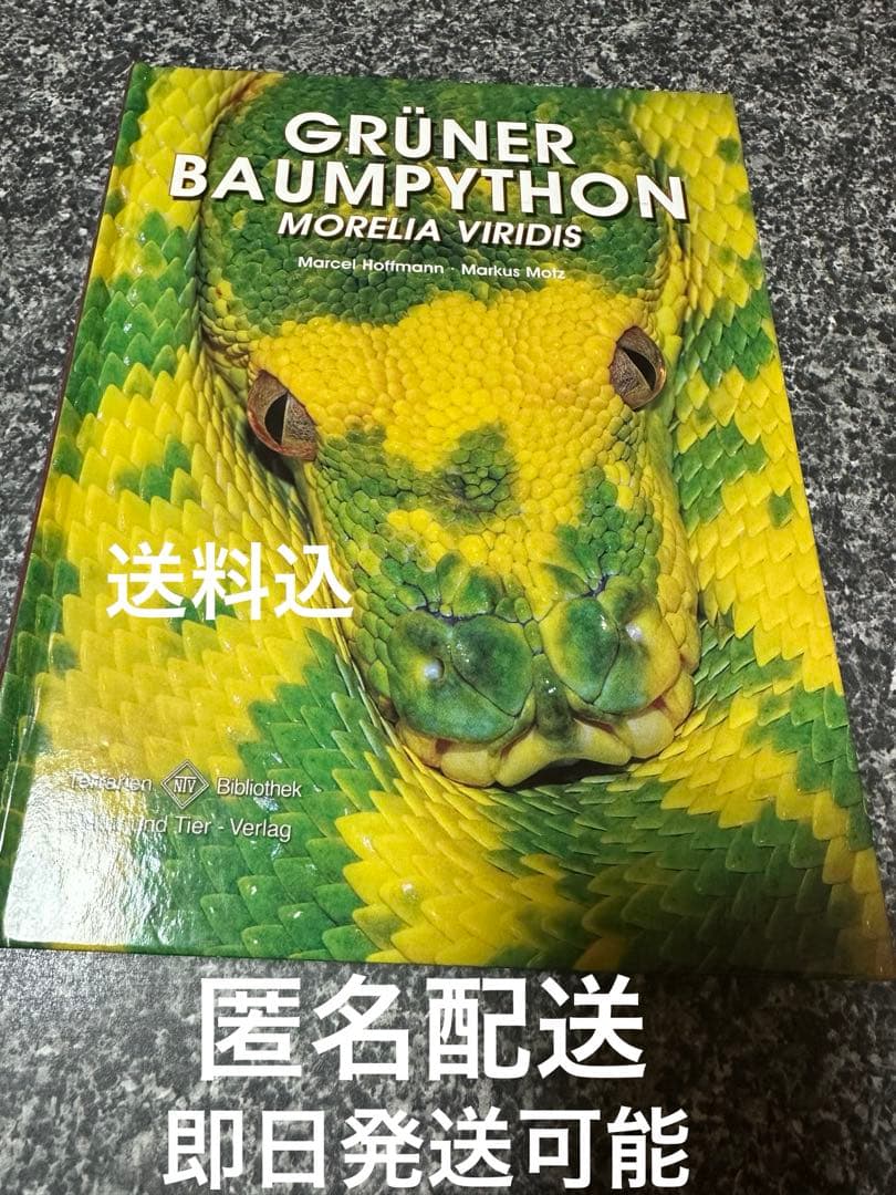 GRUNER BAUMPYTHON グリーンパイソン　図鑑