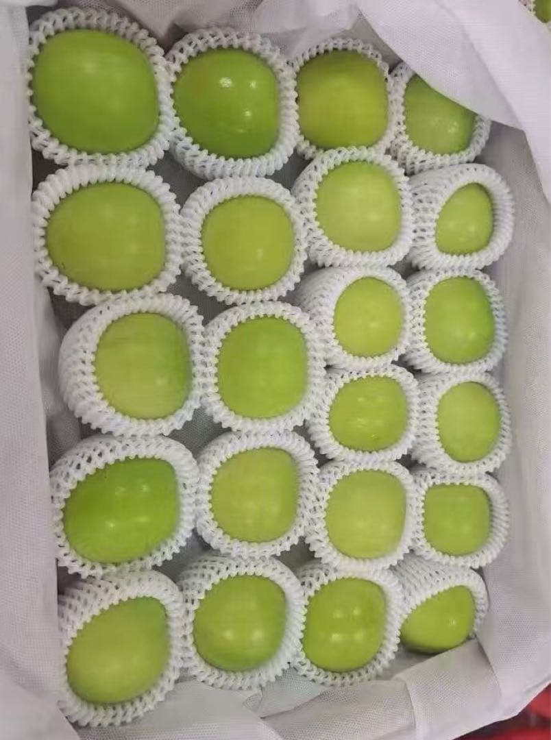 533.新鮮台湾ナツメ　台湾青棗 约2.5kg前後(１８~24玉)玉数お任せ