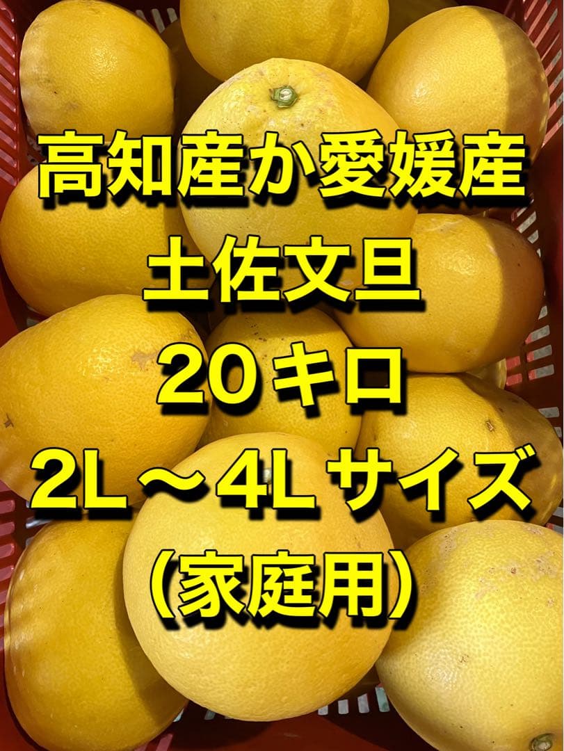 高知産 土佐文旦 20キロ 2L〜4Lサイズ