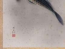 【真作】掛軸　室田秀太郎　鯉図　生命感溢れる精緻な筆致　共箱入　S2