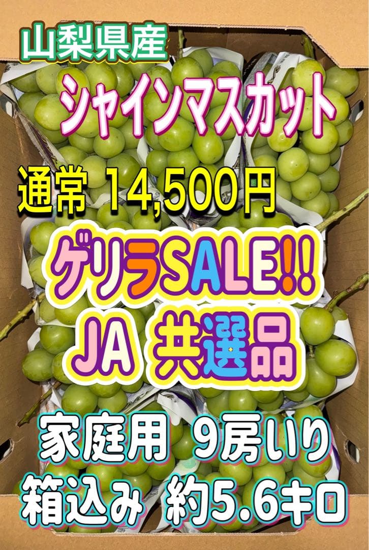 山梨県産JA共選品シャインマスカット⭐️家庭用9房入り箱込み約5.6キロ