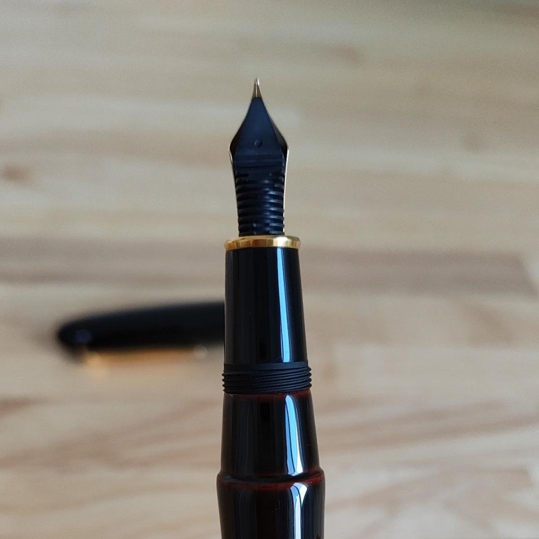 プラチナ万年筆 出雲 赤溜 中字 (M)