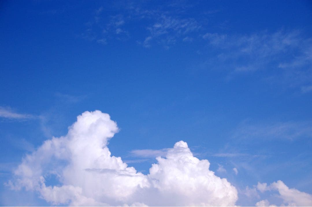 ワンコママページ