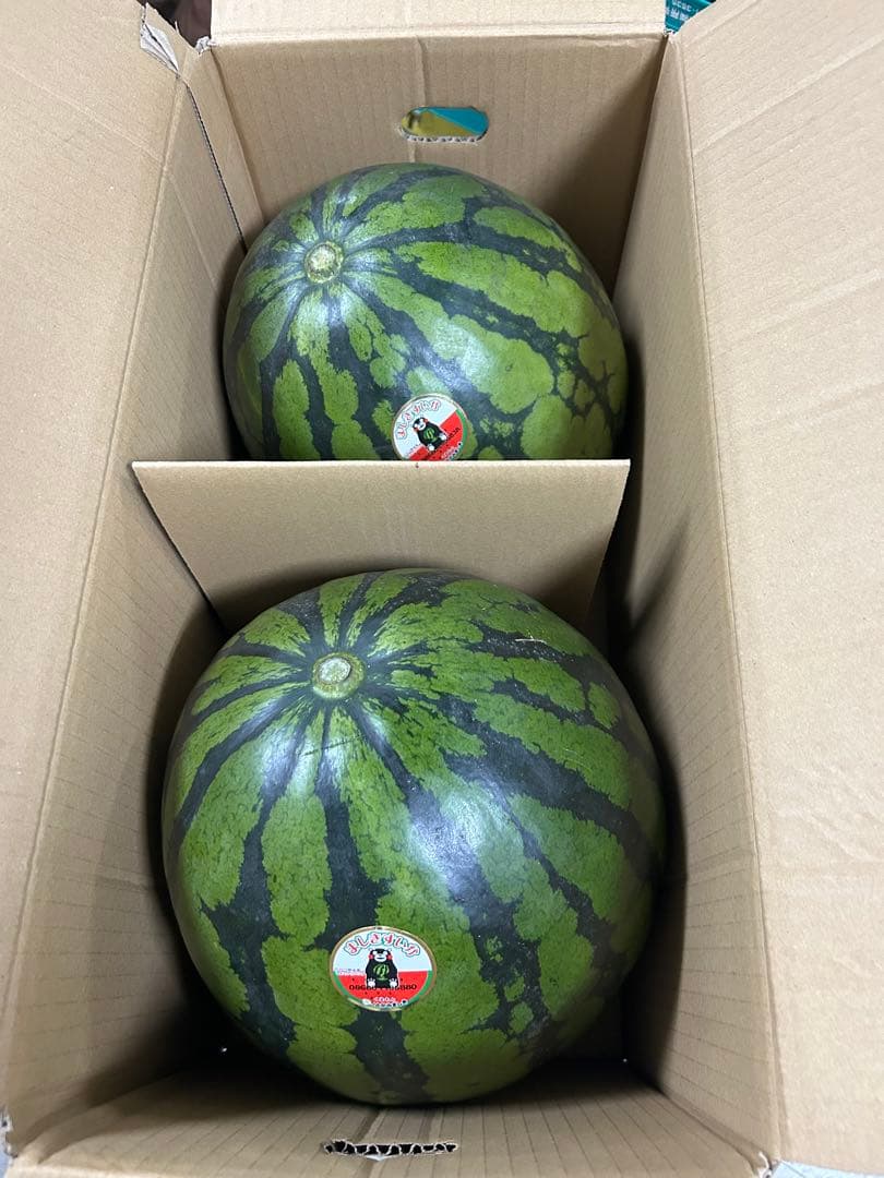 熊本県スイカ秀Lサイズ2玉入り　約14kg