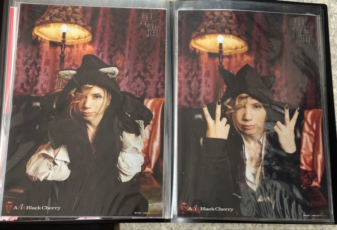 Acid Black Cherry ポスター　35種セット