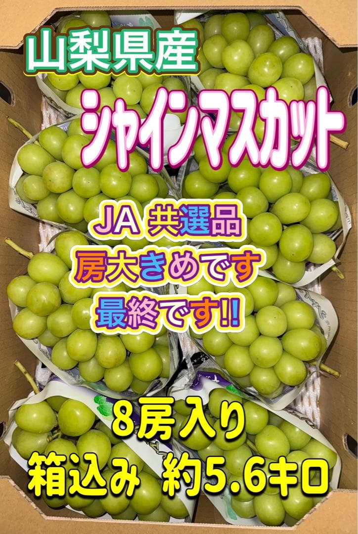 山梨県産JA共選品シャインマスカット⭐️8房入り箱込み約5.6キロ