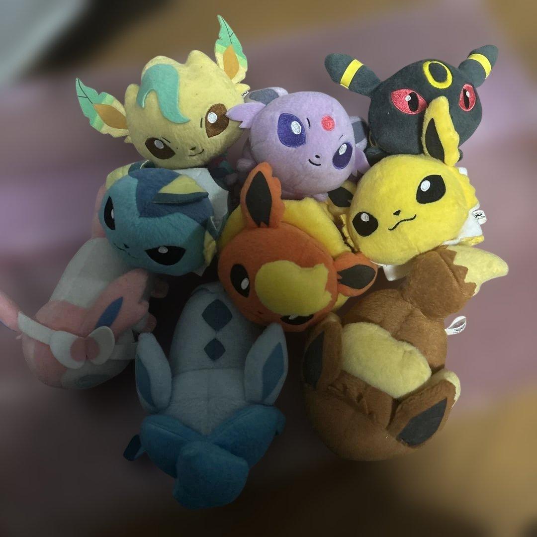 ポケモンころりんブイズ9種セット(ちむ)