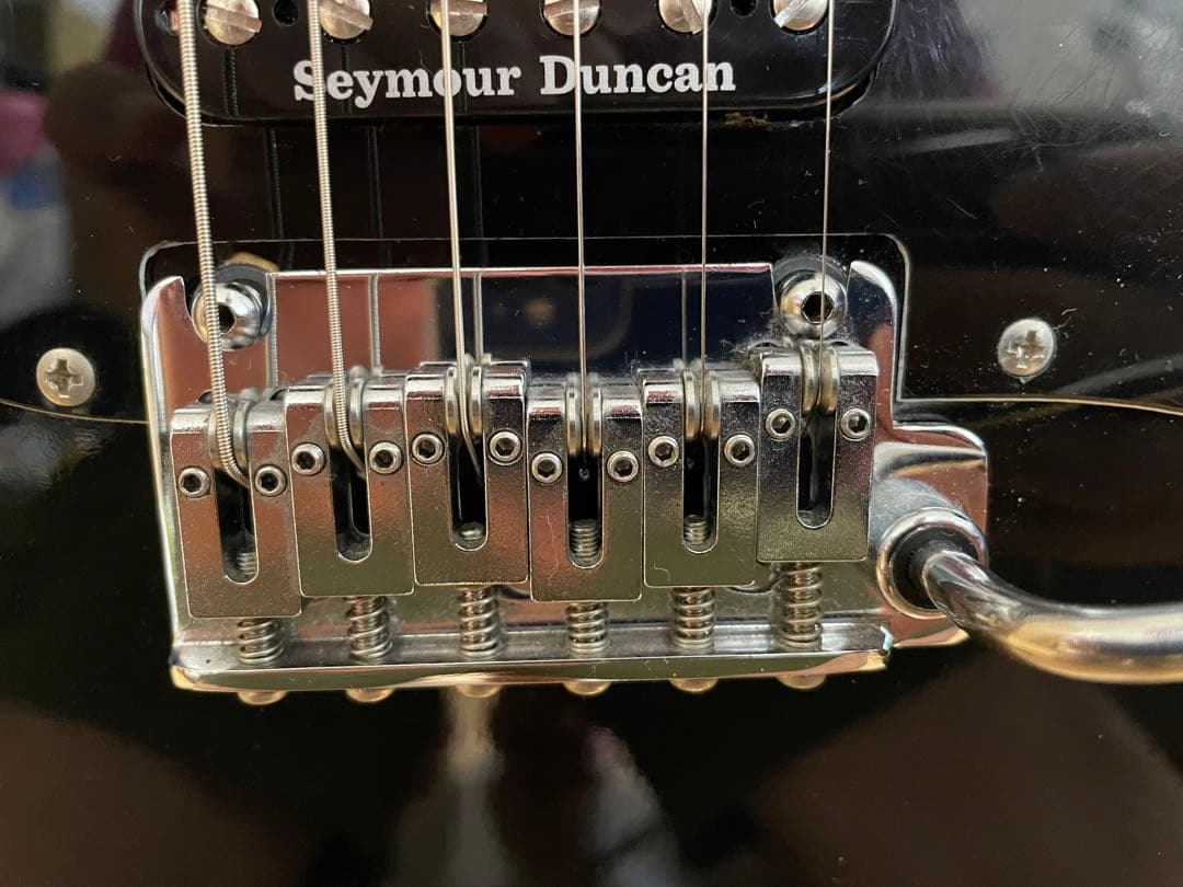 FERNANDES THE FUNCTION ストラト ブラック