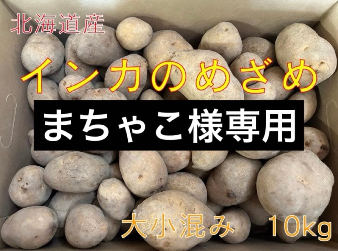 【まちゃこ】北海道産じゃがいも（インカのめざめ）　大小混み20kg