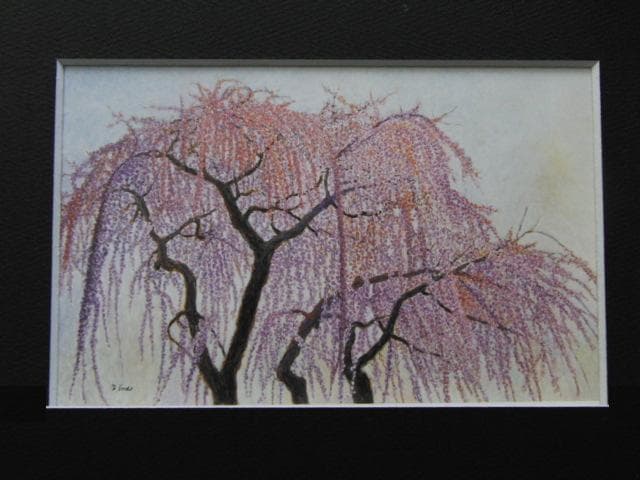 遠藤義美、【しだれ桜】、希少画集画より、状態良好、新品高級額装付