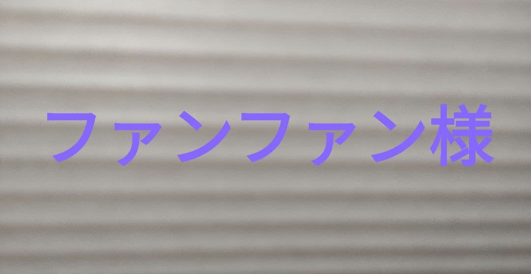 ファンファン様（他の方はご購入お控え下さい！)