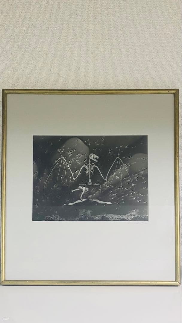 内藤忠行　写真原画　蝙蝠　オリジナル