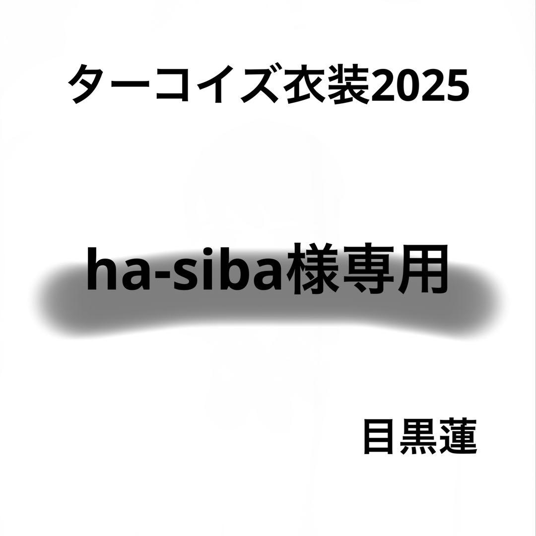 ha-siba　Bigぬい　ぬい服　ターコイズ衣装セット　目黒蓮