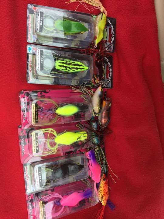 フロッグ アイオビー ガバチョ