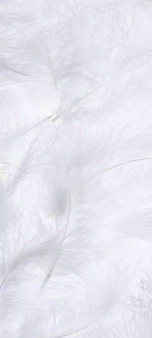 TFW49 ジャケット　サイズXL 新作　チャーコール