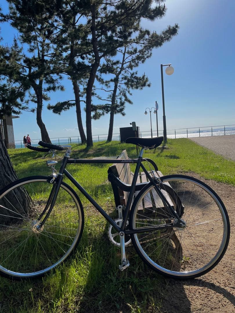 自転車本体 HOW I ROLL CHAMP