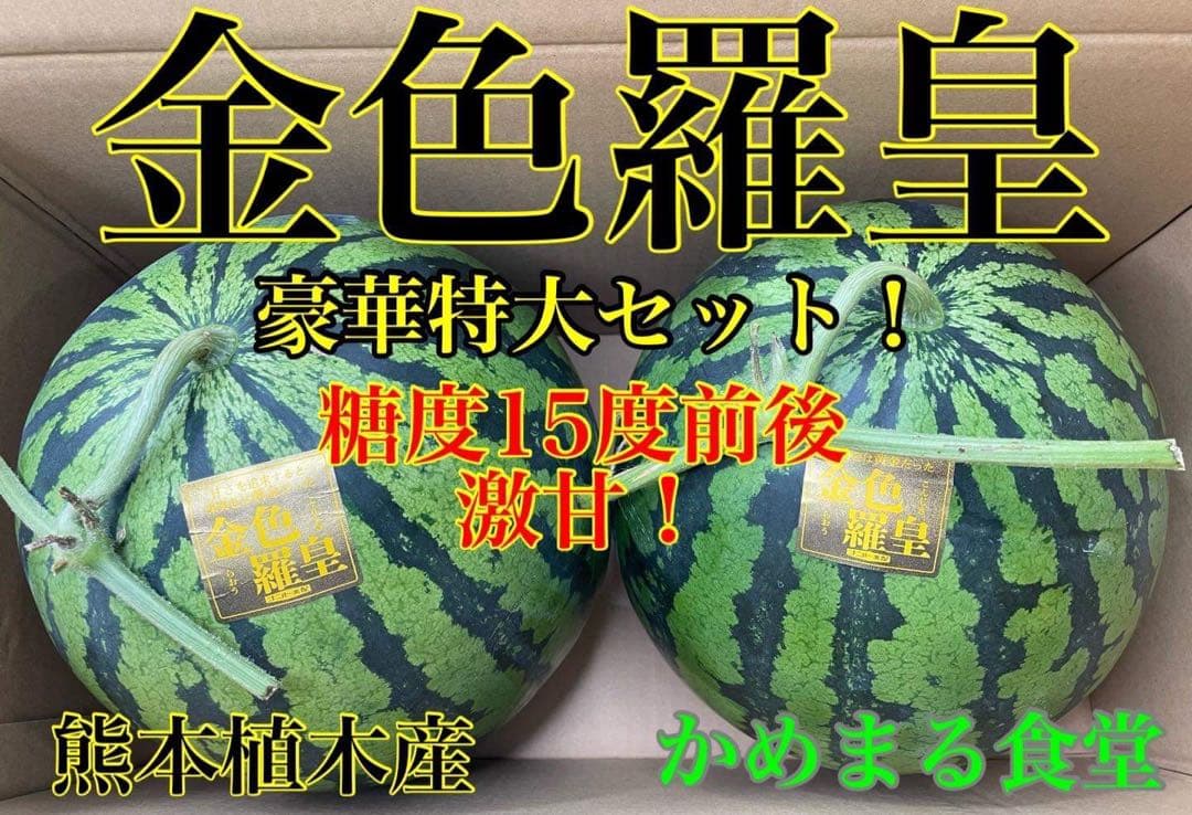 特大！金色羅皇4L2玉セットご家庭用19〜21k箱込　かめまる食堂