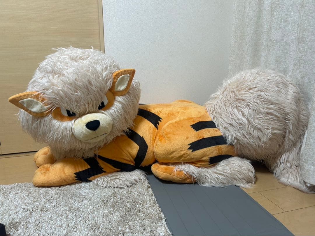 ポケモン添い寝ウインディ